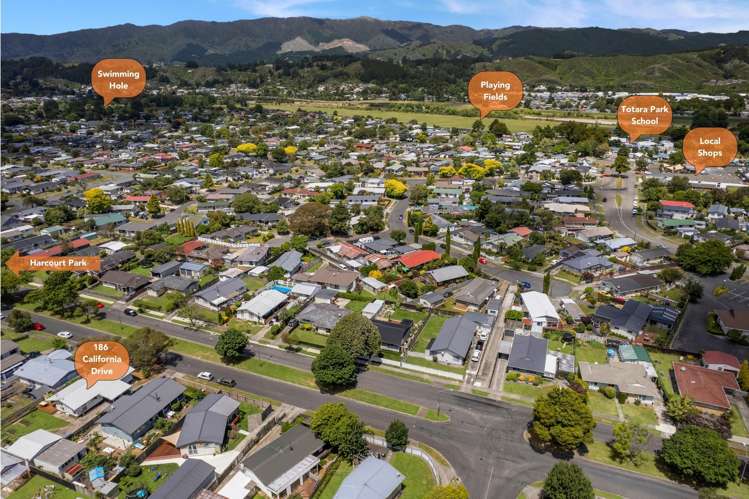 186 California Drive Totara Park_25