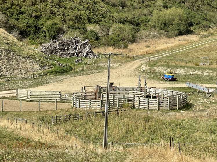 186 Murray Road Lawrence_12