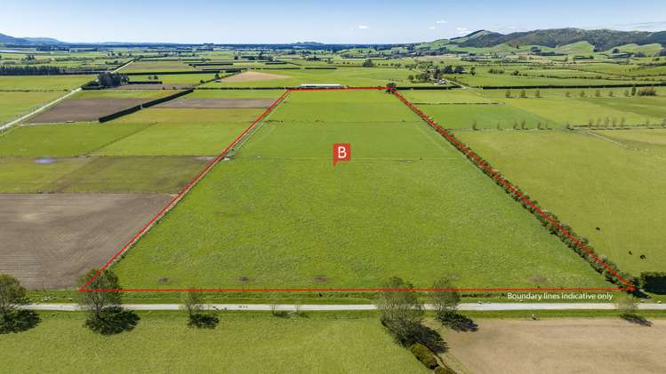 Wyndale Road Springfield_2