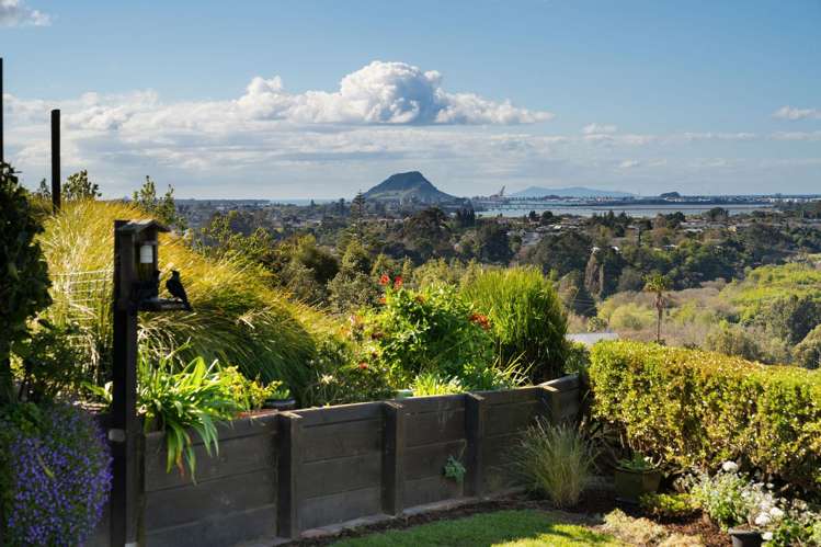 30 Maggie Place Ohauiti_9