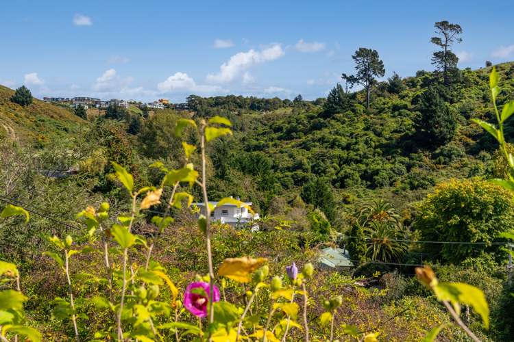 67 Jenner Road Toi Toi_17