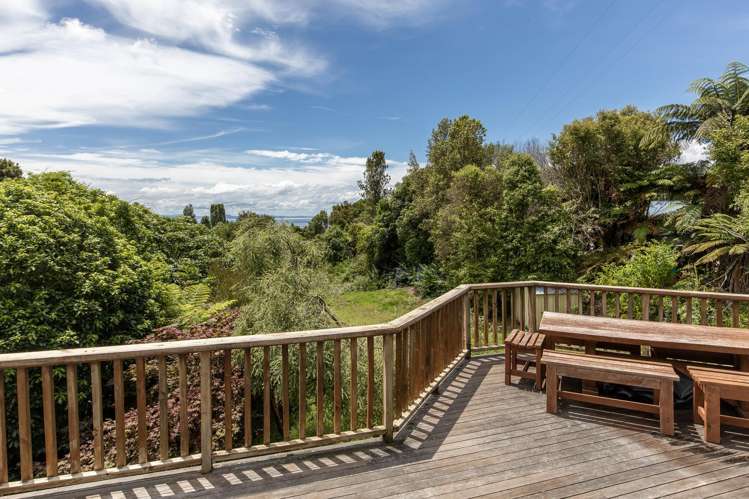 67 Hauraki Terrace Pukawa_10