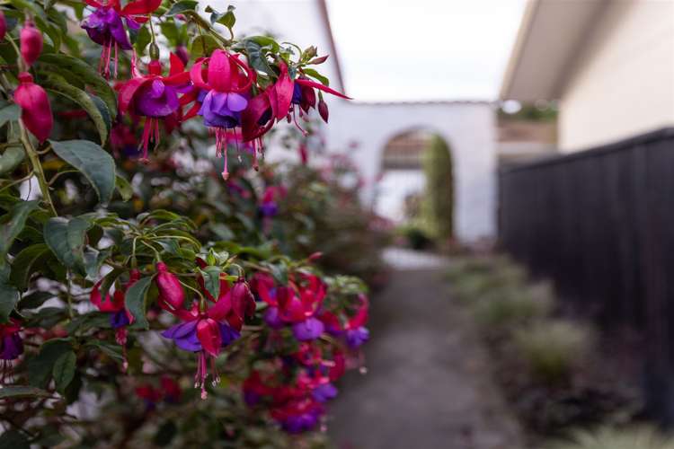 27d Henry Street Blenheim Central_21