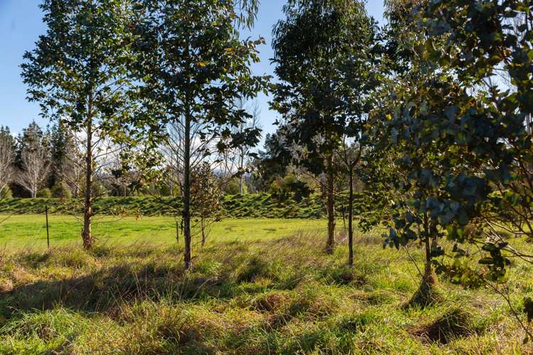 Governors Green Drive Greytown_10