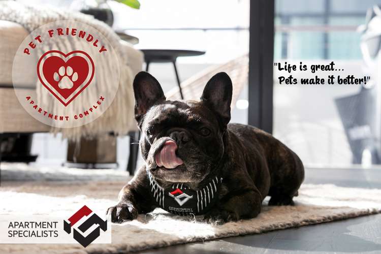 27 Union Street Waihi_17