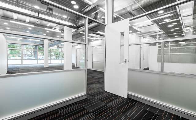 72 Dominion Road Mt Eden_4