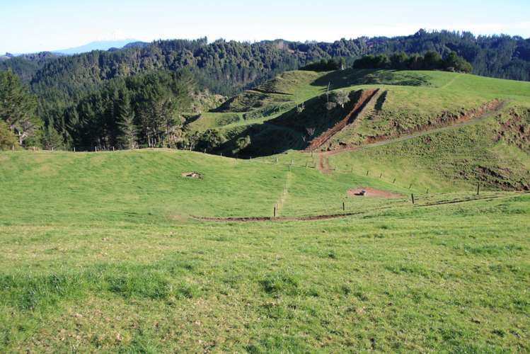 698 Mangaoapa Road Pohokura and Surrounds_8