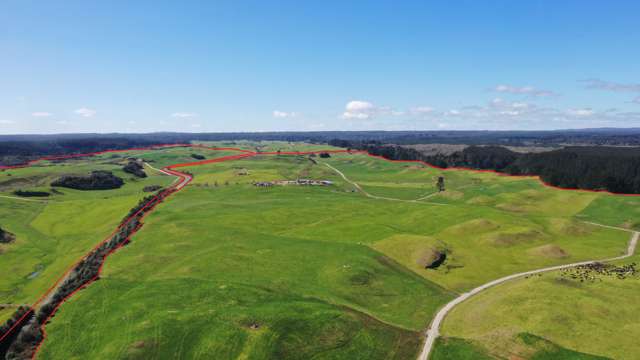 Quality South Waikato dairy