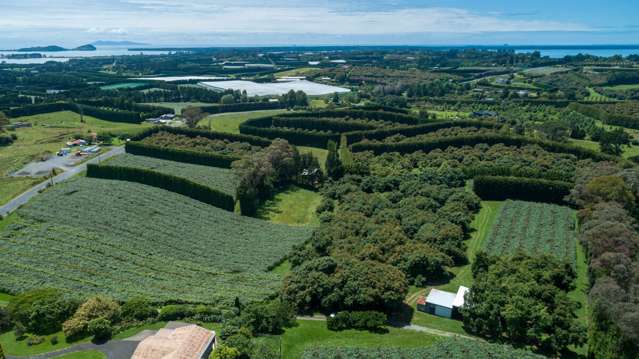 56 Kauri Point Road Katikati_1