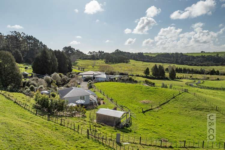 93 Alf Access Road Helensville_44