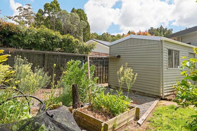 11 Freehold Lane Te Kamo_22