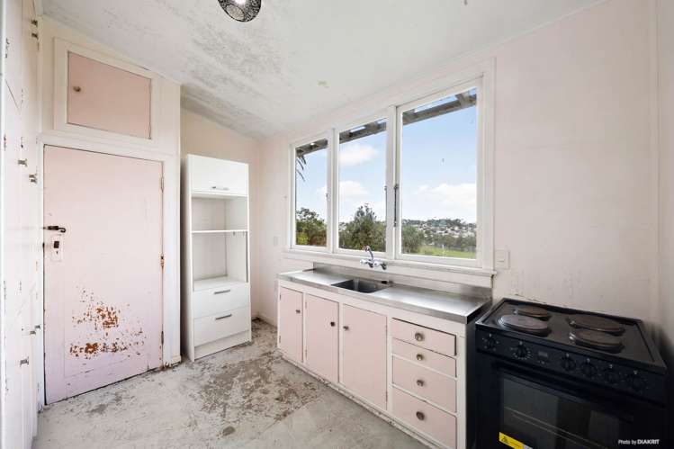 18 Old Mill Road Grey Lynn_8