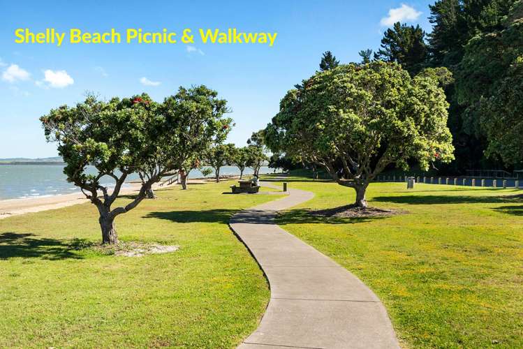 103 McLeod Road South Head Helensville_34