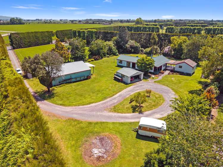 471 Western Drain Road Edgecumbe_34