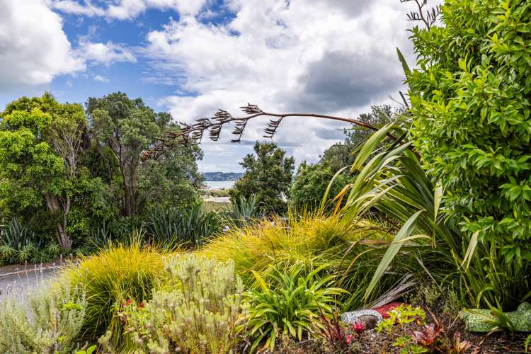 19 Tui Grove Te Haumi Paihia_9