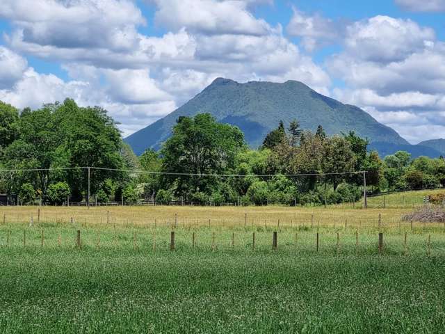 2/2 Hogg Road Onepu_3