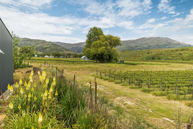 26 Domain Road Ettrick_14