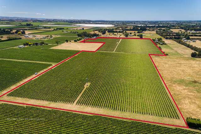 15ha high-yielding Sauvignon Blanc and Merlot