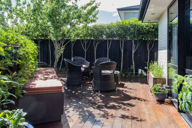 4 Coulter Street Pegasus_17