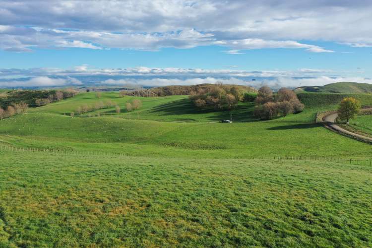 223 and 224 Peacock Road Waipukurau_18