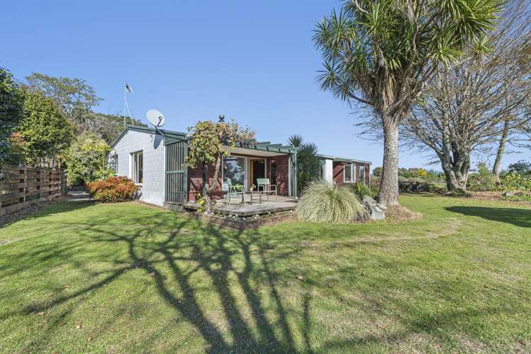 20 Portland Drive Mangorei_19