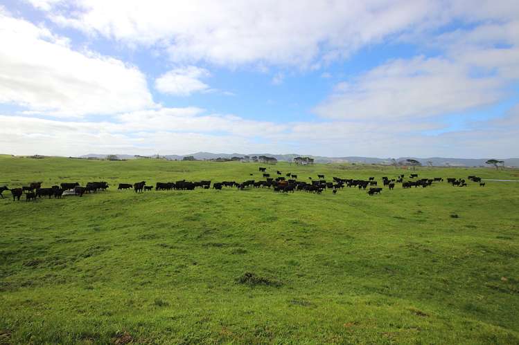 Sandhills Road Ahipara_24