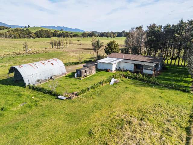 142 Roger Road Taheke_1