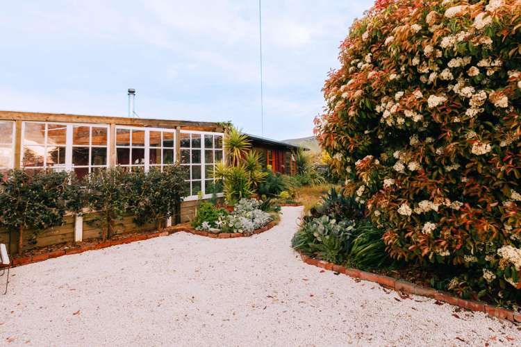 137 Howick Road Redwoodtown_5