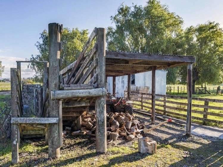 582 Back Ormond Road Makauri_7