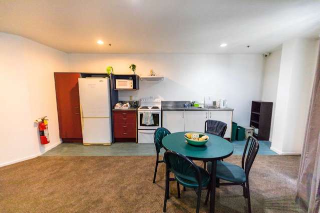 10a/33 Mount Street Auckland Central_3