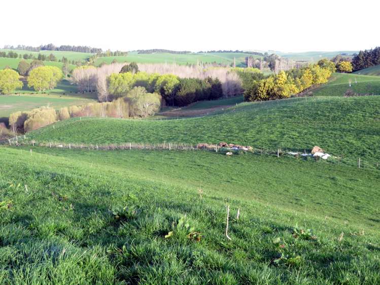 1629 Weston-Ngapara Road Enfield and Surrounds_6