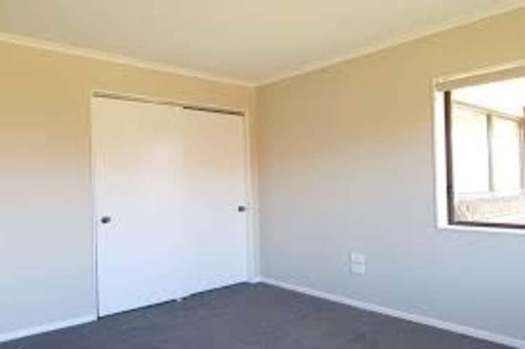 195 Powderham Street 10844_7