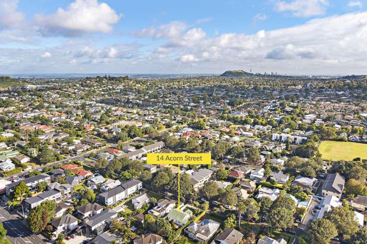 14 Acorn Street Royal Oak_33