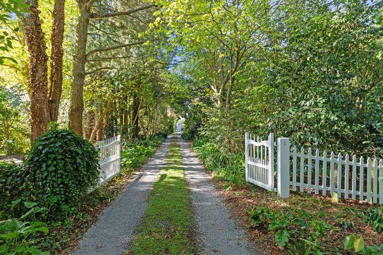 1105 Kaipaki Road Cambridge_21