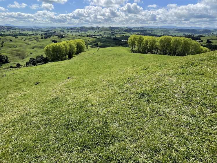 788 Troopers Road Te Kuiti_26