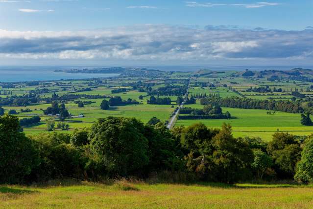 Above Kaikoura, Beyond Compare