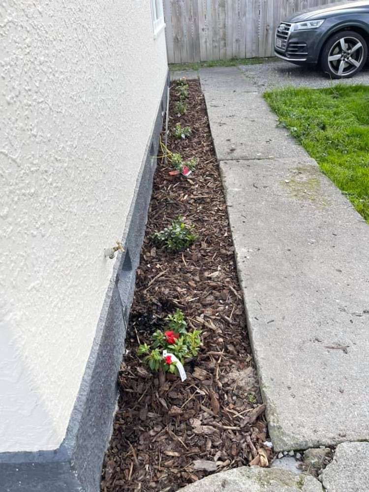 102 Cockburn Street Masterton_9