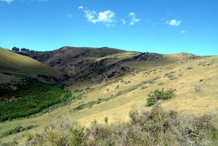 3/266 Patersons Road Motunau_5