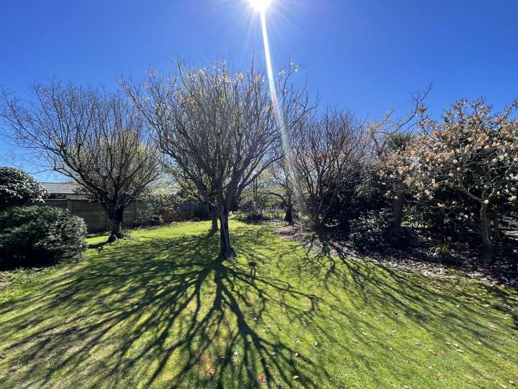 43B Birchs Road_5
