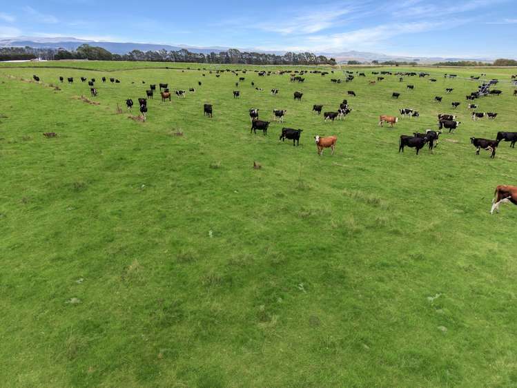 126 Happy Valley Road Herbert_16