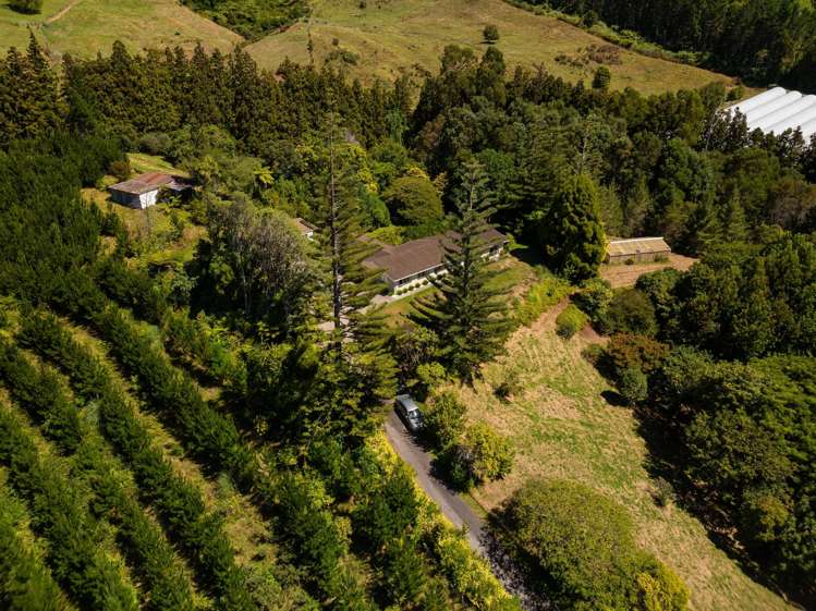 236 Willoughby Road Tahawai_20