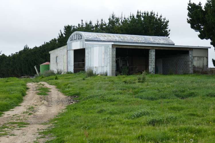 313 Springfield Road Totara_17