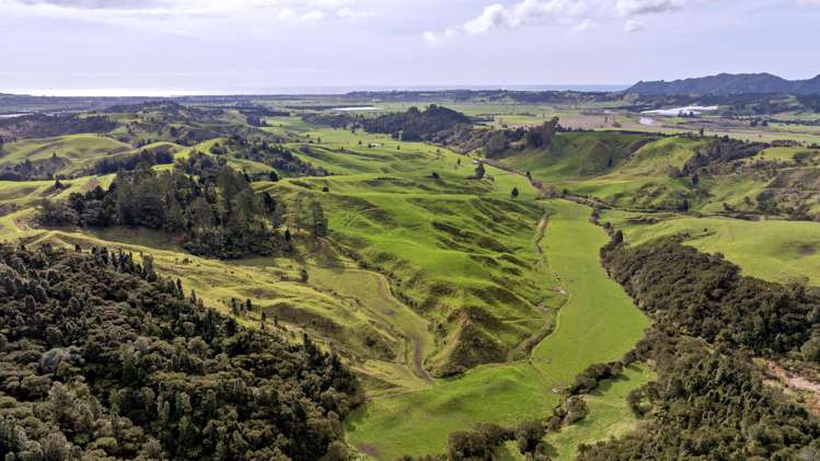 636 Otara Road Opotiki_20