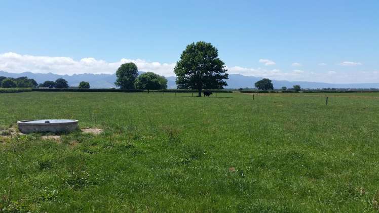 201 Steele Road Manawaru_12