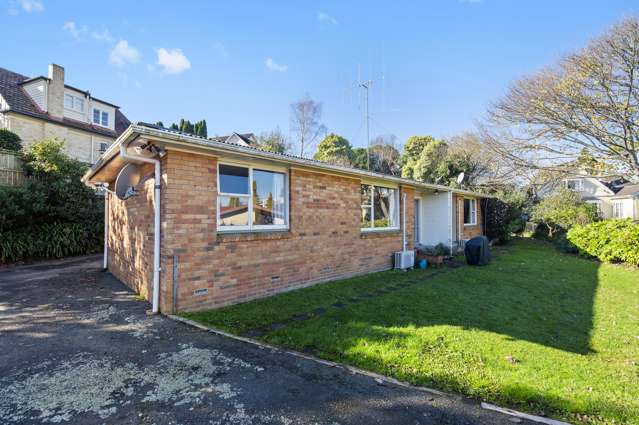 158a Pembroke Street Hamilton Lake_1