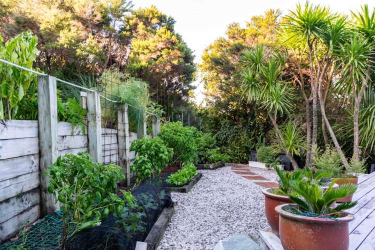 23 Wintle Street_5