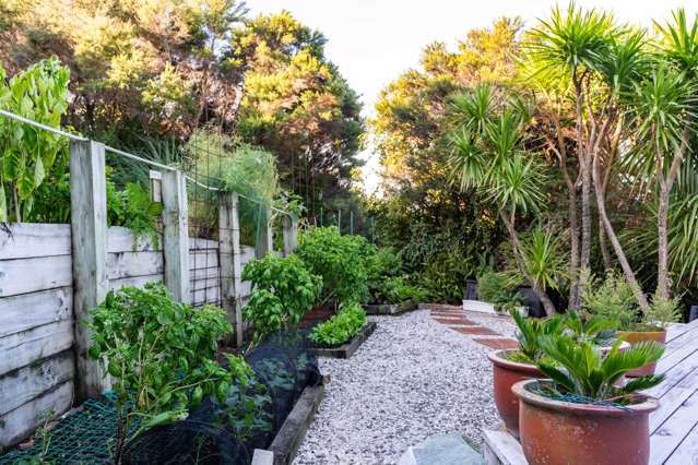 23 Wintle Street Mangawhai Heads_4