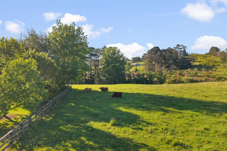 Lots 1, 2, 3 and 4 of 5 Dysart Lane Kumeu_6