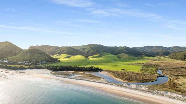 'Bargain to be had': Coromandel bay for sale for well below its $9m RV