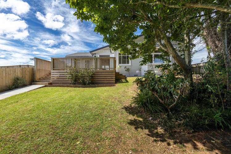 407 Carrington Street Vogeltown_25